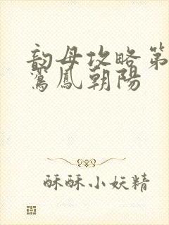 韵母攻略第二部鸾凤朝阳