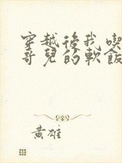 穿越后我吃到了哥儿的软饭炉山灰