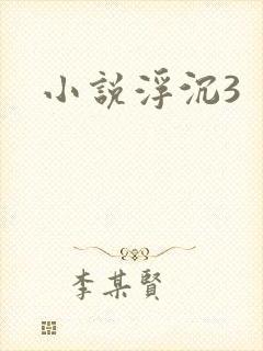 小说浮沉3