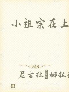 小祖宗在上