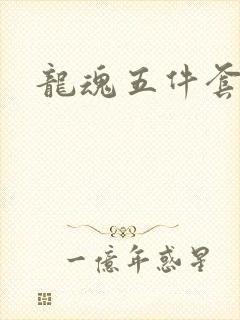 龙魂五件套