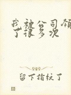 我被公司领导C了很多次