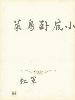 菜鸟卧底小正太