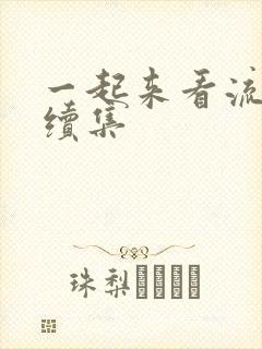 一起来看流星雨续集