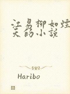 江易柳如烟秦少天的小说