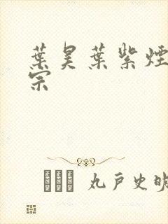 叶昊叶紫烟老祖宗