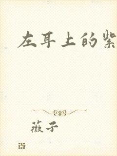 左耳上的紫水晶