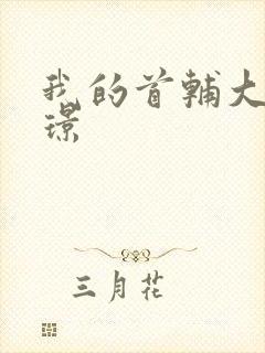 我的首辅大人陆璟