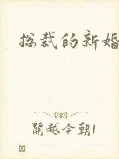 总裁的新婚弃妇