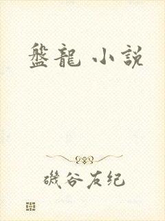 盘龙 小说