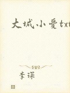 大城小爱txt