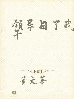 领导日了我一下午
