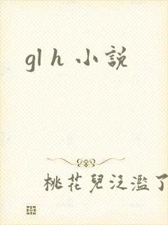 gl h 小说