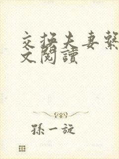 交换夫妻系列全文阅读