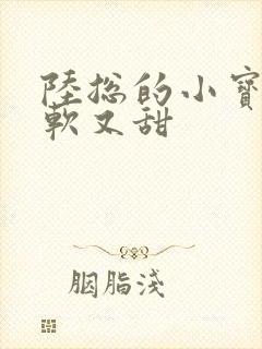 陆总的小宝贝又软又甜