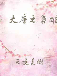 大唐之枭雄天下