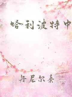 哈利波特中文版