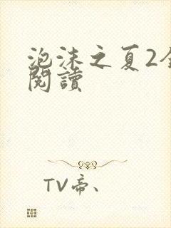 泡沫之夏2全文阅读