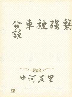 公车被强系列小说