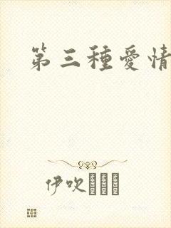 第三种爱情续集
