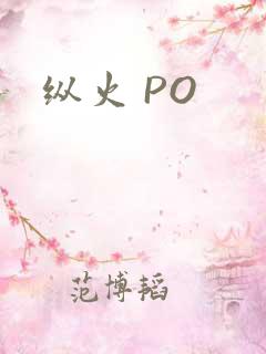 纵火 PO