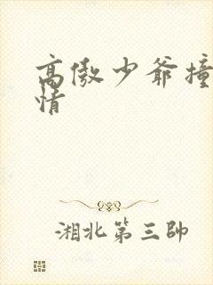 高傲少爷撞到爱情