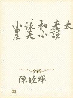 小流和老太69农夫小说