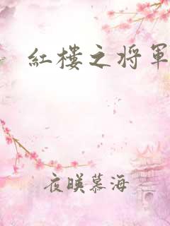 红楼之将军