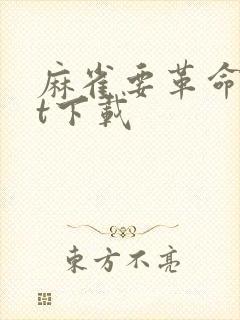 麻雀要革命txt下载