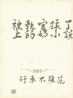 被教官揉了一晚上的奶小说