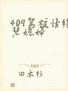 409驾校情缘儿媳妇