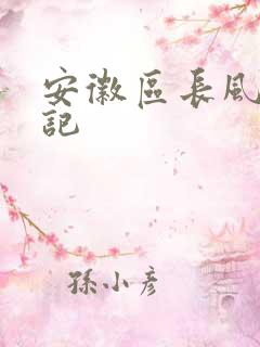 安徽区长风流日记
