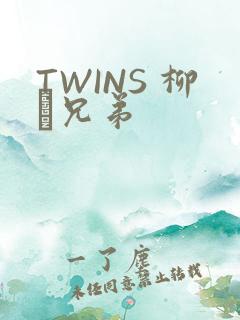 TWINS 柳澤兄弟