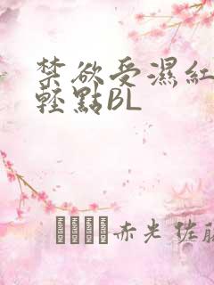 禁欲受湿红喘息轻点BL