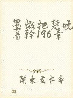 墨燃把楚晚宁按着干196章