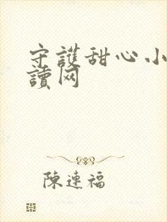 守护甜心小说阅读网