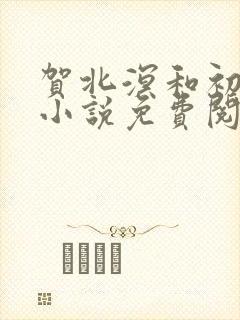 贺北溟和初夏的小说免费阅读无弹窗