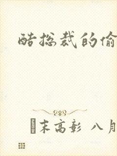 酷总裁的偷孕妻