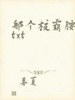 那个校霸腰好软txt
