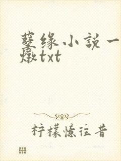 孽缘小说一家乱炖txt