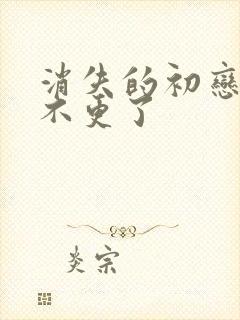 消失的初恋为啥不更了