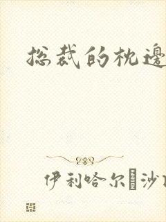 总裁的枕边甜妻