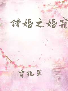 错婚之婚宠一世