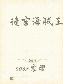 后宫海贼王下载