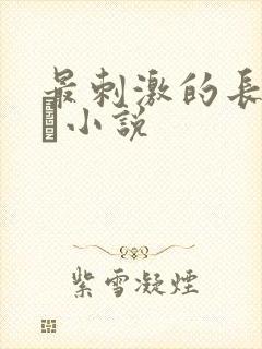 最刺激的长篇乱惀小说