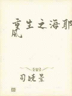 重生之海耶斯旋风