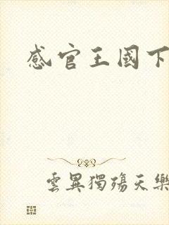 感官王国下载