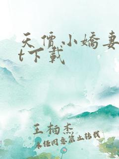 天价小娇妻txt下载