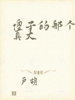 傻子的那个东西真大