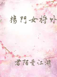 杨门女将外传